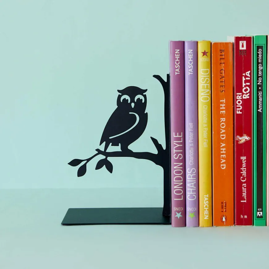 Balvi Boekensteun Uil