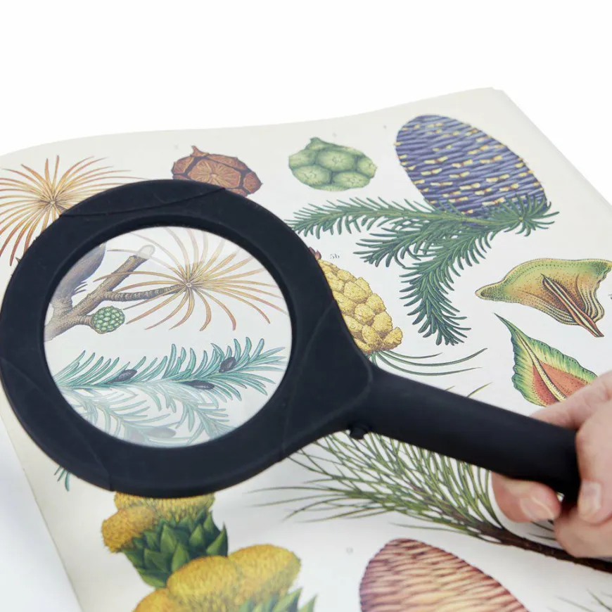 Balvi Vergrootglas Zoom met licht