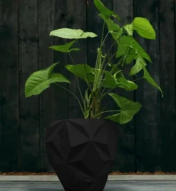 Candellana Bloempot beton Geometric 13 cm mat Zwart