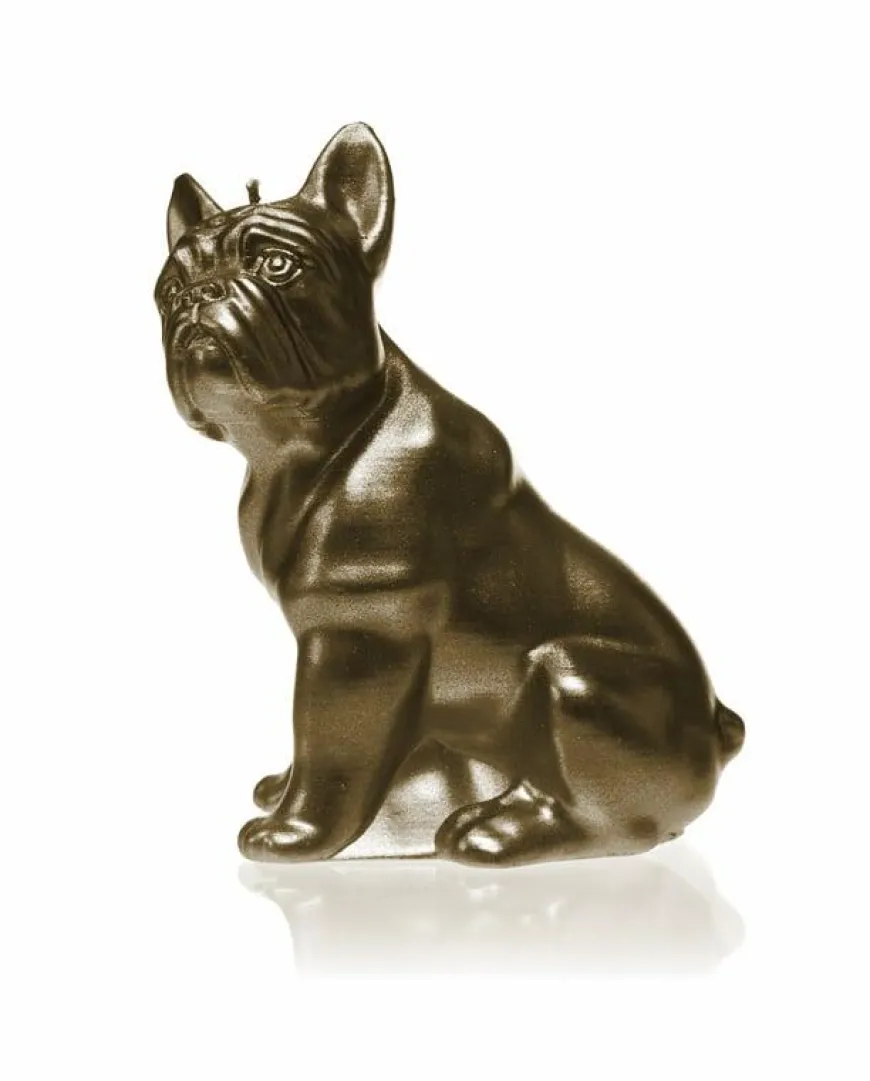 Candellana Kaars bulldog classic brass