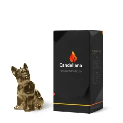 Candellana Kaars bulldog classic brass