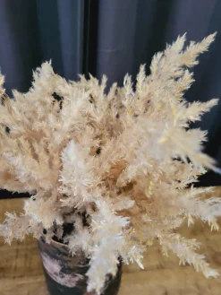 Countryfield Astilbe boeket met LED verlichting lichtbruin