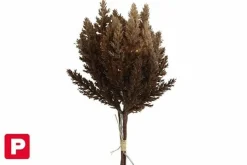 Countryfield Astilbe boeket met LED verlichting donkerbruin
