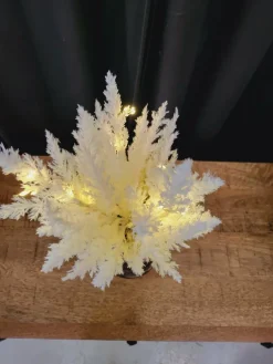 Countryfield Astilbe boeket met LED verlichting wit