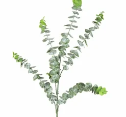 Countryfield Eucalyptus groen 1