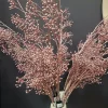 Countryfield Kunst bes Ilex Verticillata roze