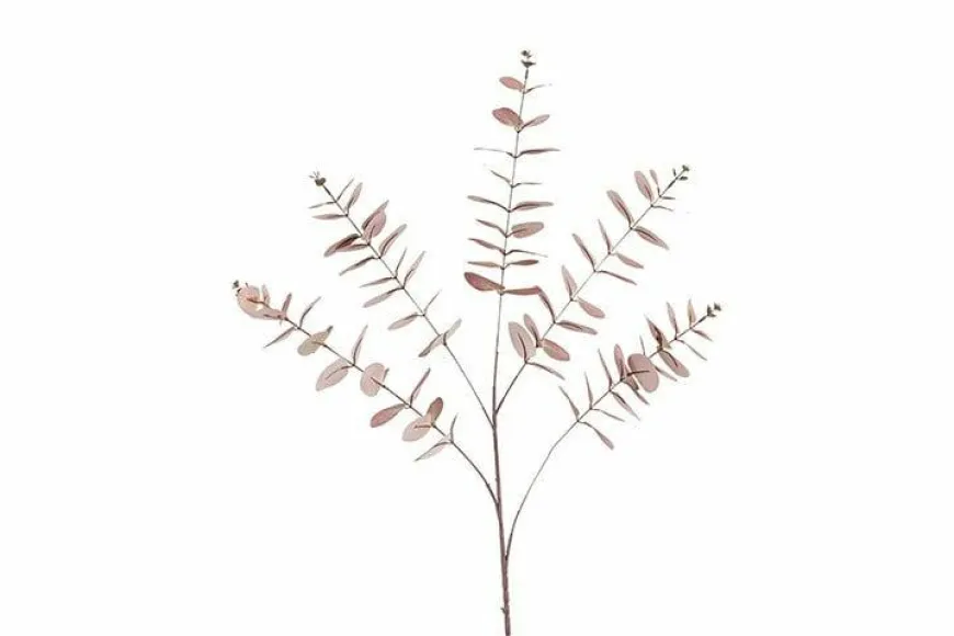 Countryfield Kunstblad Eucalipthus Cinerea bruin