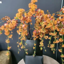 Countryfield Kunstbloem Akebia L oranje