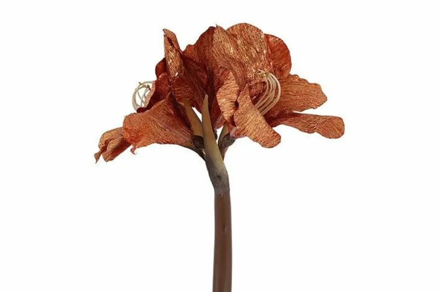 Countryfield Kunstbloem Amaryllis bruin