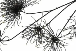 Countryfield Kunstbloem Grevillea M zwart