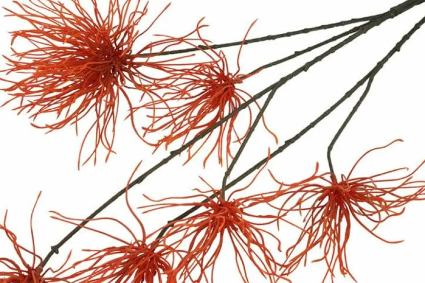 Countryfield Kunstbloem Grevillea M oranje