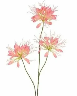 Countryfield Kunstbloem Lycoris roze - L 12 x B 8 x H 94 CM