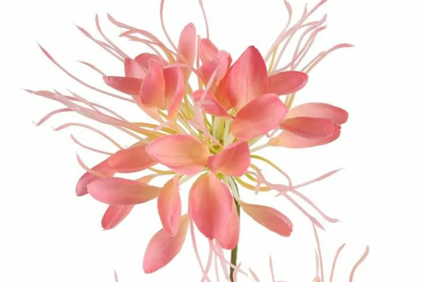 Countryfield Kunstbloem Lycoris roze - L 12 x B 8 x H 94 CM