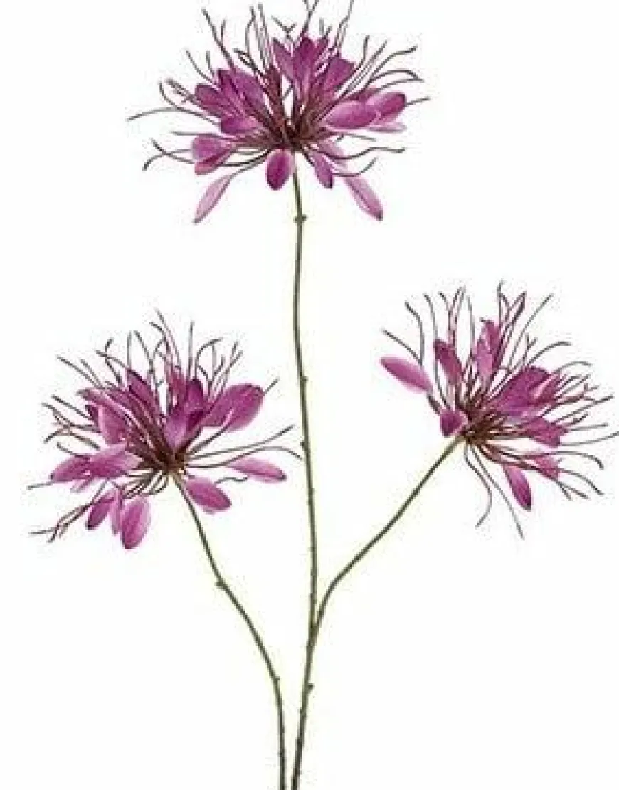 Countryfield Kunstbloem Lycoris paars - L 12 x B 8 x H 94 CM