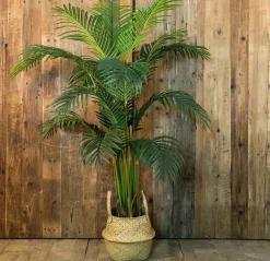 Countryfield Kunstplant Areca L groen 160 cm