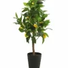 Countryfield Kunstplant Citrus Limon geel 75 cm hoog