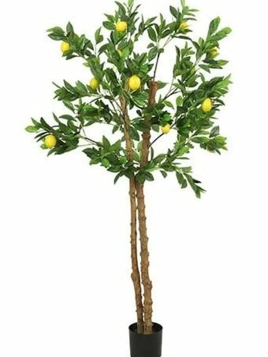 Countryfield Kunstplant Limon groen citroen 170 cm hoog