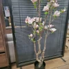 Countryfield Kunstplant Magnolia L roze / wit - 220 cm hoog