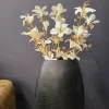 Countryfield Kunsttak Bauhinia Creme