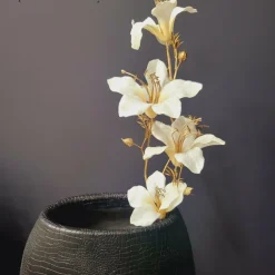 Countryfield Kunsttak Bauhinia Creme