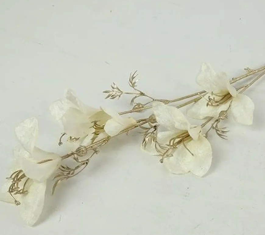 Countryfield Kunsttak Bauhinia Creme
