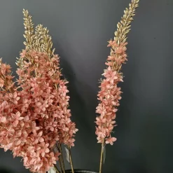 Countryfield Kunsttak Eremurus roze