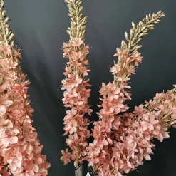 Countryfield Kunsttak Eremurus roze