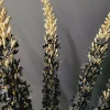 Countryfield Kunsttak Eremurus zwart