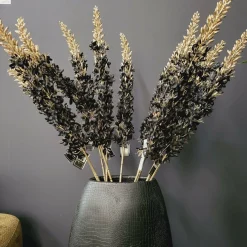 Countryfield Kunsttak Eremurus zwart