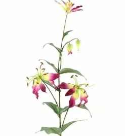 Countryfield Kunsttak Gloriosa aubergine
