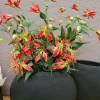 Countryfield Kunsttak Gloriosa oranje