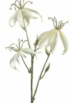 Countryfield Kunsttak Gloriosa S crème