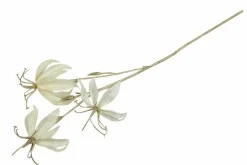 Countryfield Kunsttak Gloriosa S crème