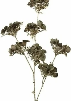 Countryfield Kunsttak Hydrangea bruin