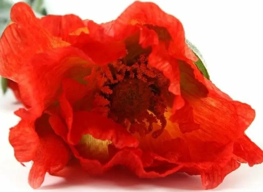Countryfield Kunsttak Papaver Jodie oranje