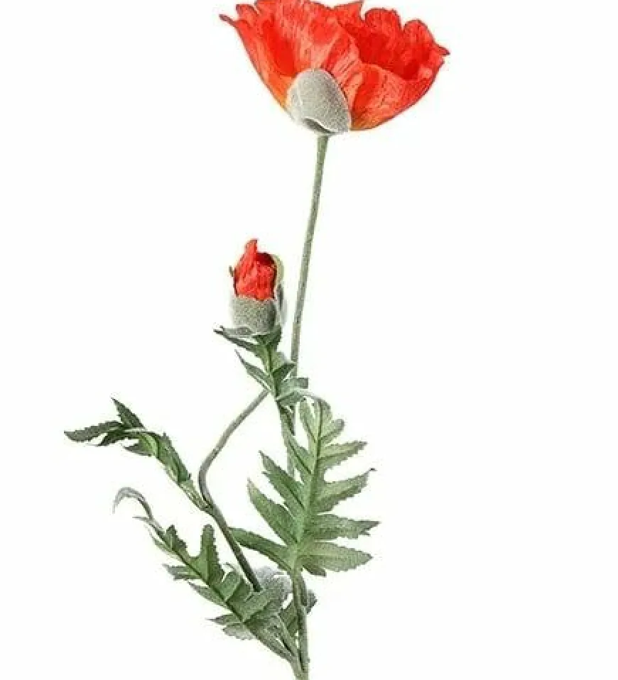 Countryfield Kunsttak Papaver Jodie oranje