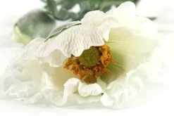 Countryfield Kunsttak Papaver Jodie wit