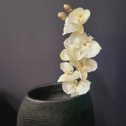 Countryfield Kunsttak Phalaenopsis crème