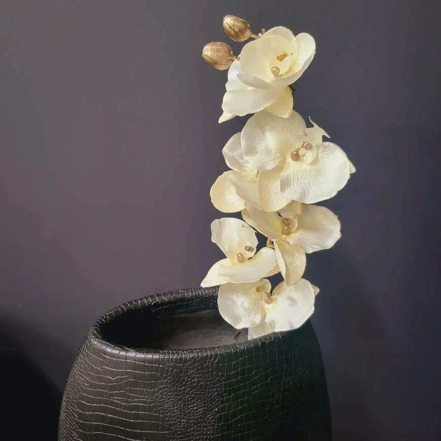 Countryfield Kunsttak Phalaenopsis crème