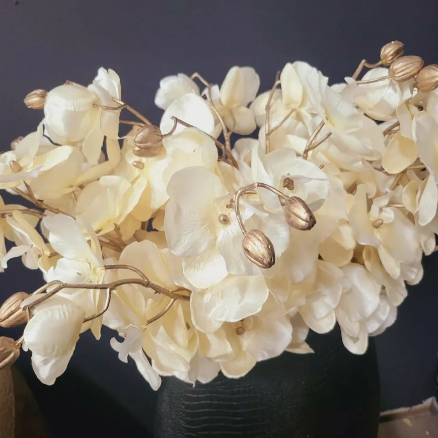 Countryfield Kunsttak Phalaenopsis crème