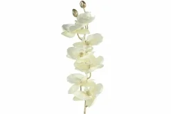 Countryfield Kunsttak Phalaenopsis crème