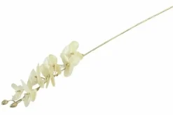 Countryfield Kunsttak Phalaenopsis crème