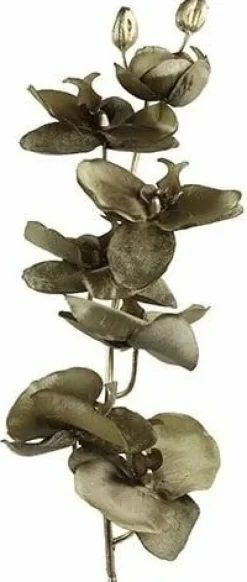 Countryfield Kunsttak Phalaenopsis bruin