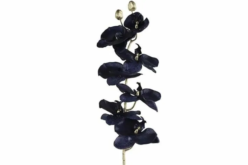 Countryfield Kunsttak Phalaenopsis donkerblauw