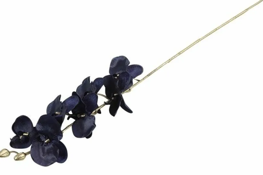 Countryfield Kunsttak Phalaenopsis donkerblauw