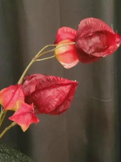 Countryfield Kunsttak Physalis vuur rood