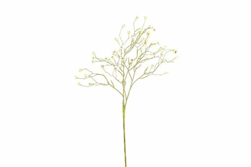 Countryfield Kunsttak Prunus Mume S wit