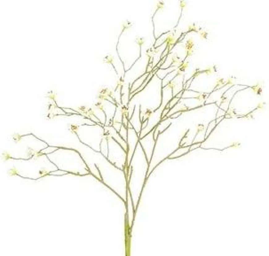 Countryfield Kunsttak Prunus Mume S wit