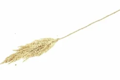 Countryfield Kunsttak Sorghum beige