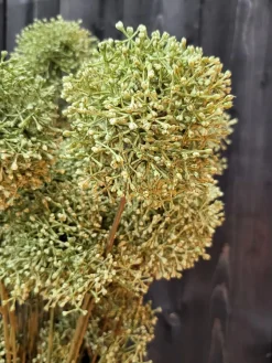 Countryfield Kunsttak Viburnum S groen of geel